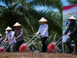Penanaman jagung serentak kuartal IV pemkab Banyuasin siap sukseskan ketahanan pangan Nasional
